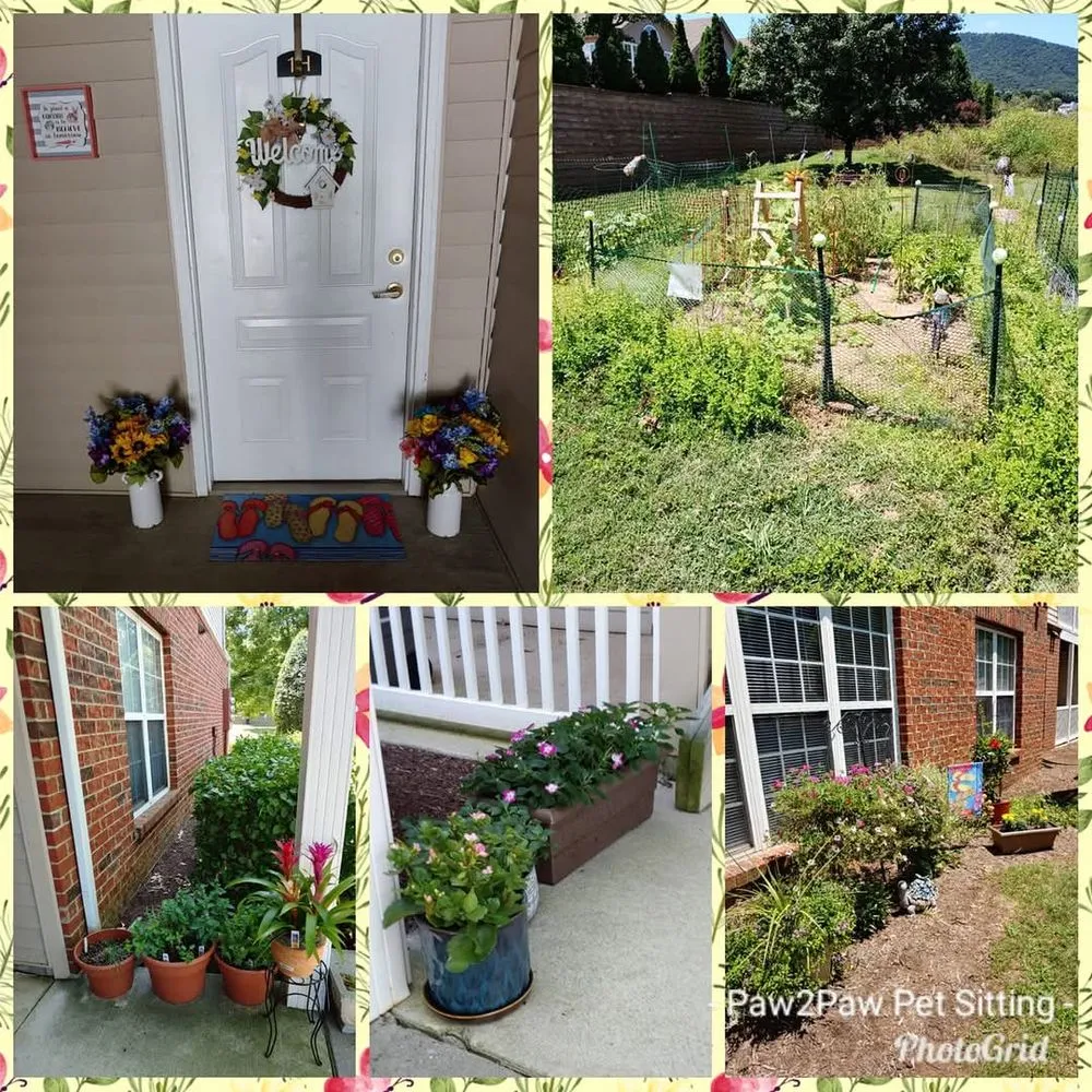 Affordable outdoor landscaping for year-round maintenance in Port Republic, VA by Blue Ridge Property Management