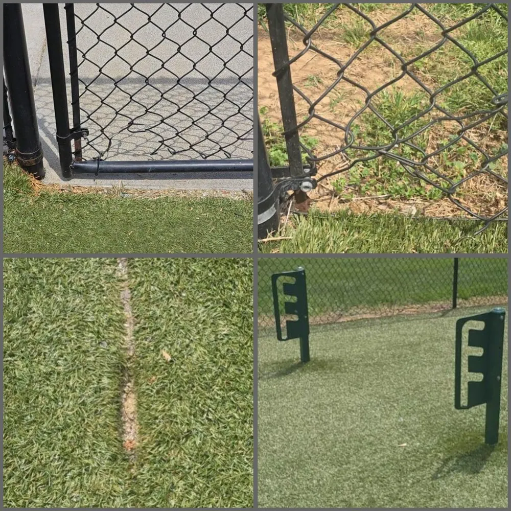 Professional yard cleanup service in Port Republic, VA by Blue Ridge Property Management