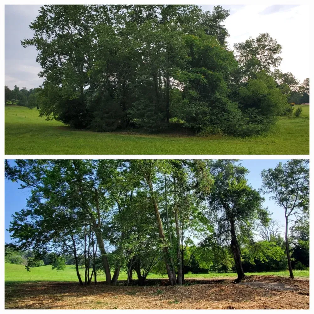 Top-rated landscape installation for year-round maintenance in Reva, VA by Blue Ridge Woodsworks