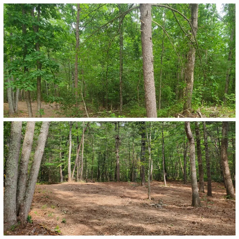 Top-rated lawn mowing service experts serving Reva, VA - Blue Ridge Woodsworks