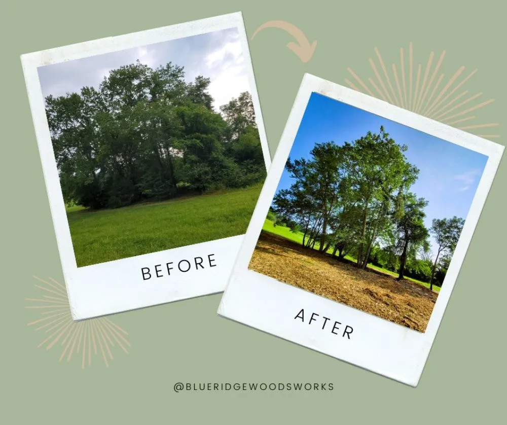 Custom landscape design experts serving Reva, VA - Blue Ridge Woodsworks