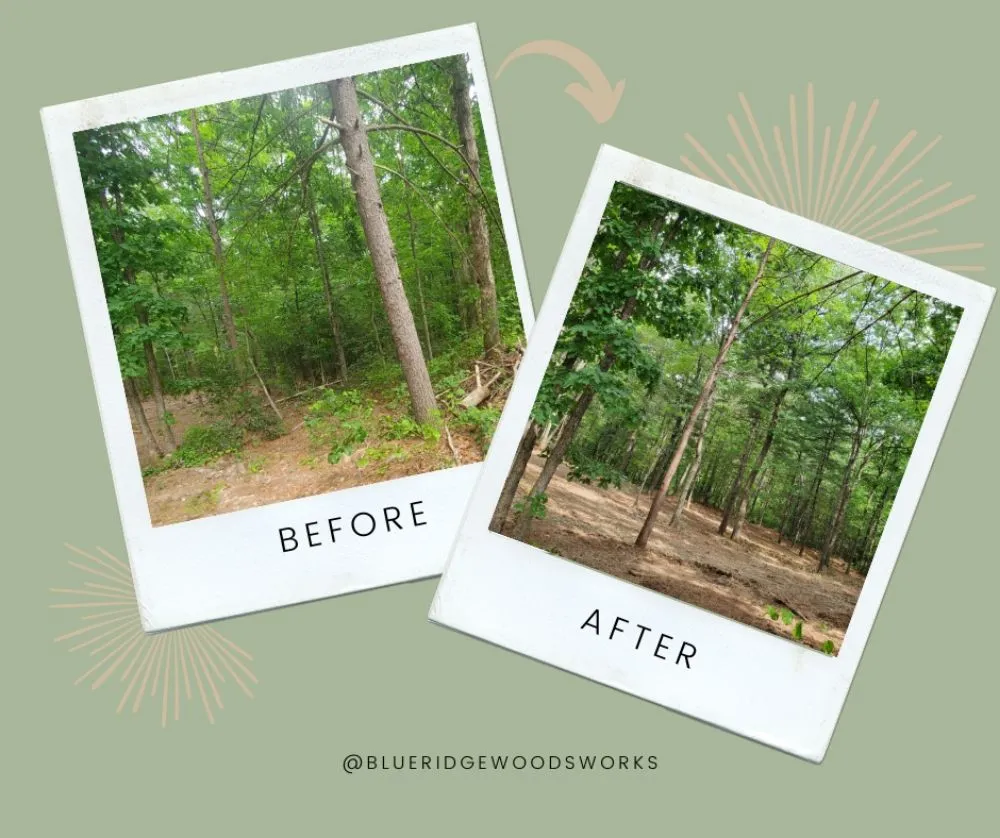 Local landscaping services near you in Reva, VA by Blue Ridge Woodsworks