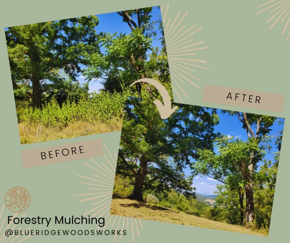 Custom outdoor landscaping in Reva, VA - Blue Ridge Woodsworks