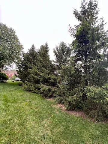 Local residential landscaping experts serving Columbus, OH - Blue Ring Residential Services
