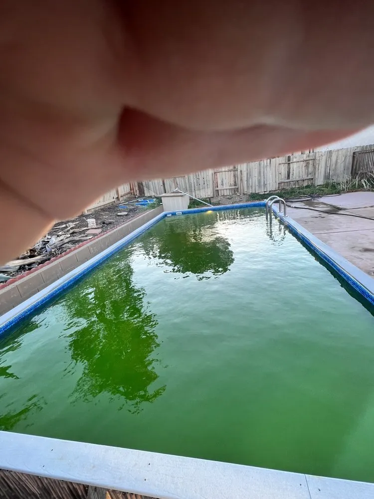 Trusted lawn care service in Hesperia, CA - Blue Ripple Pools Service & Maintenance