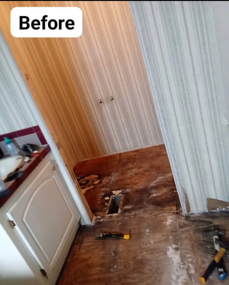 Top-rated residential landscaping in Bonifay, FL by Blue River Carpentry And Landscaping