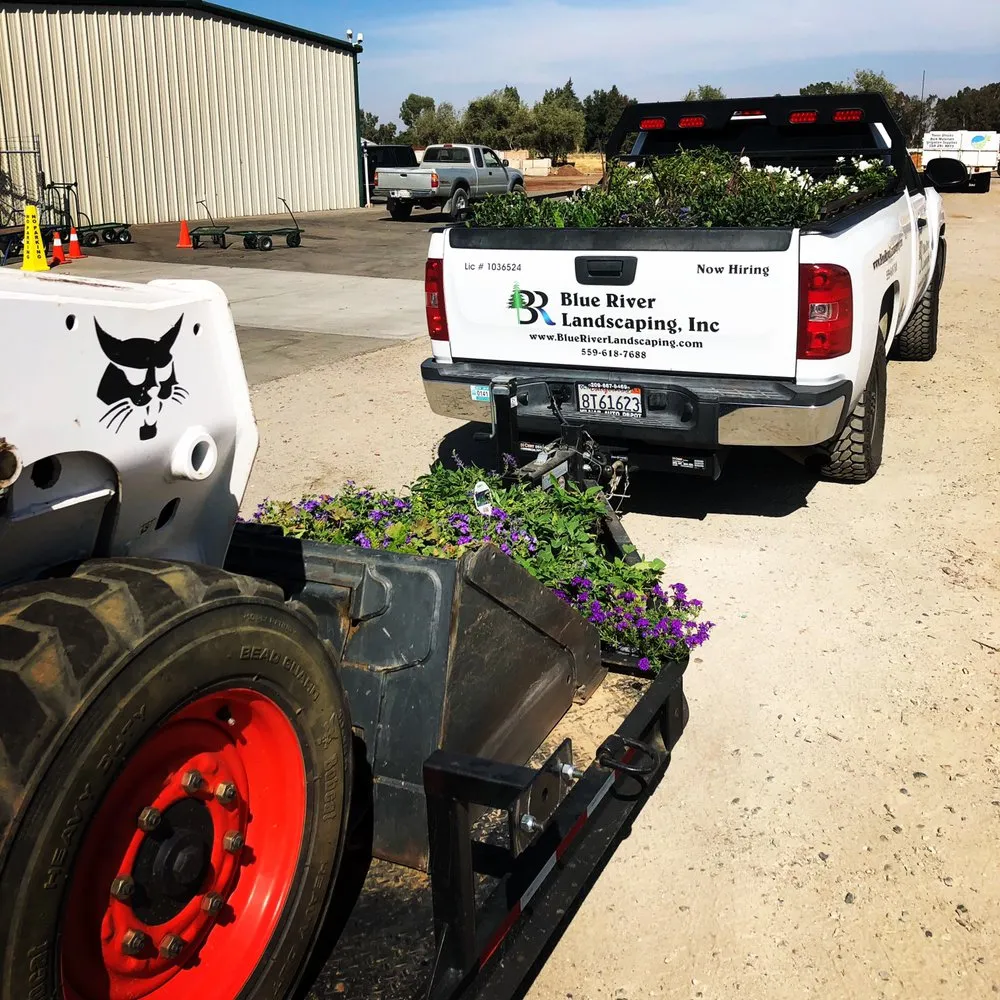 Top-rated yard maintenance in Sanger, CA - Blue River Landscaping