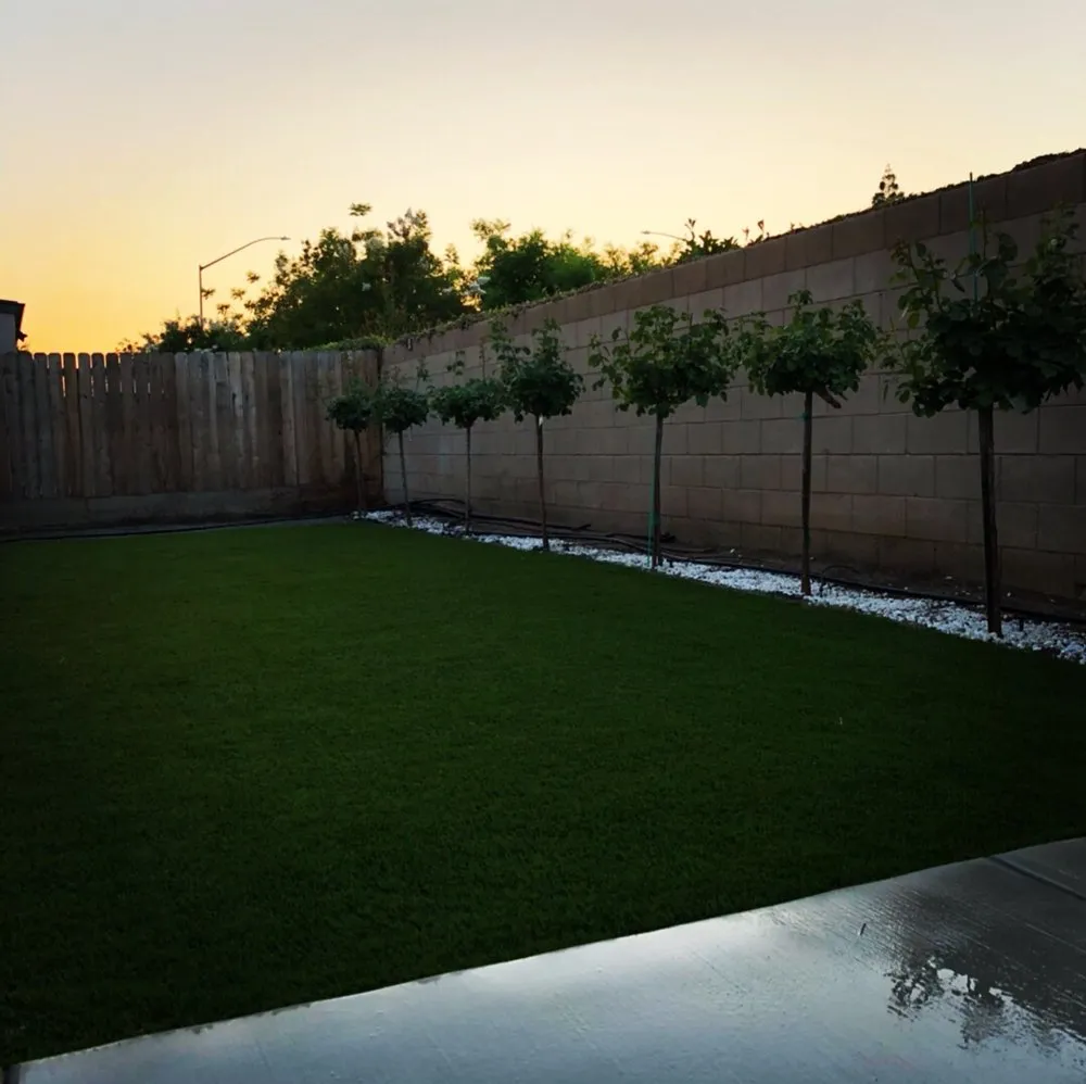 Affordable lawn care service in Sanger, CA by Blue River Landscaping