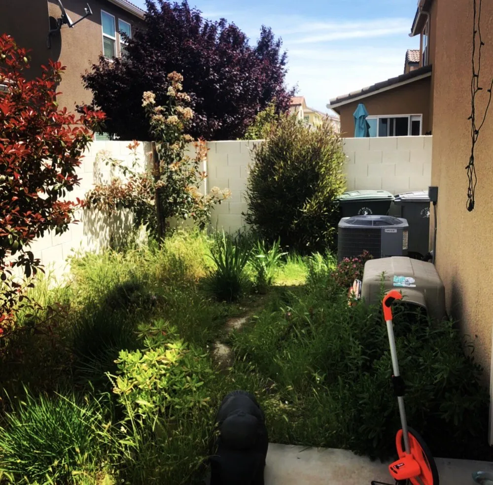 Professional landscaping services in Sanger, CA - Blue River Landscaping