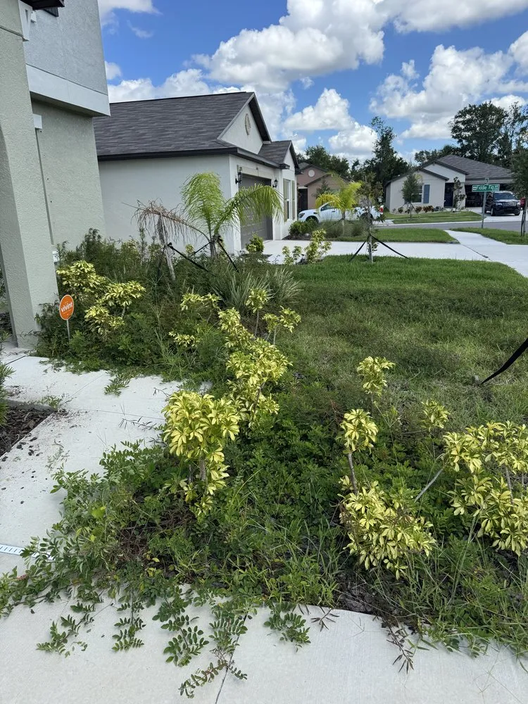 Affordable lawn mowing service experts serving Tampa Bay, FL - Blue Rock Landscape