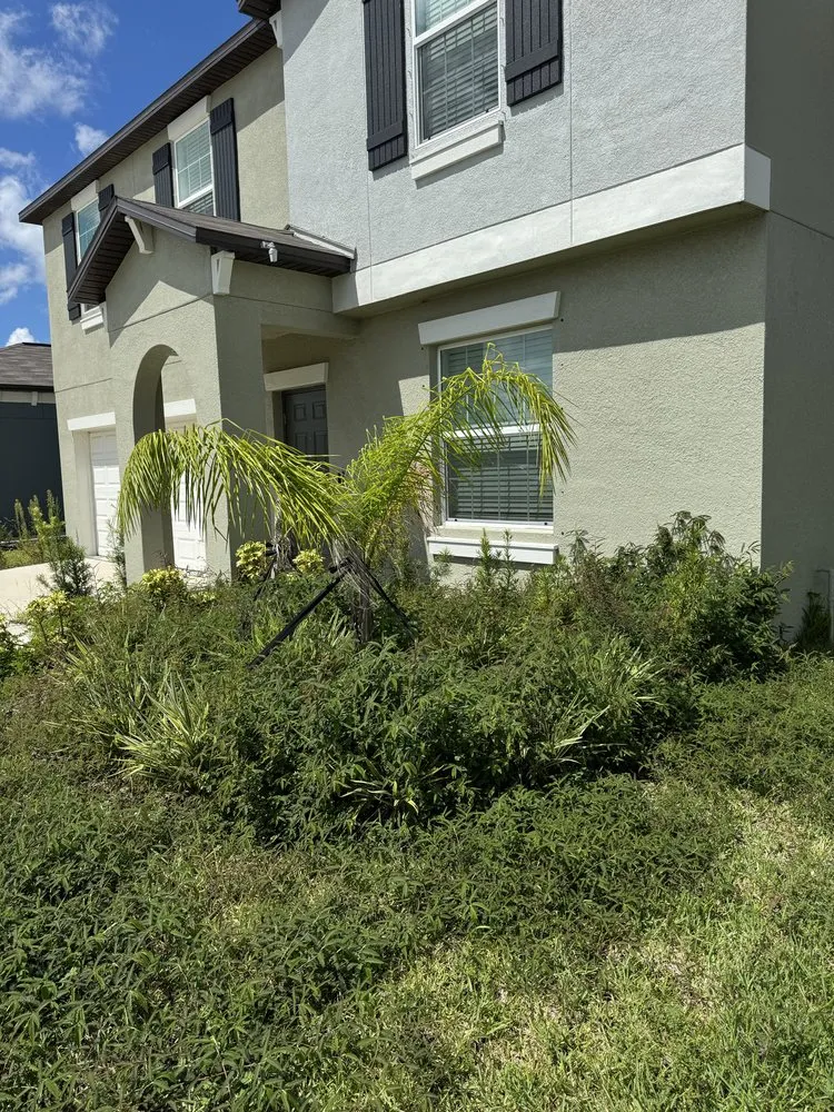 Professional outdoor landscaping with custom design across Tampa Bay, FL - Blue Rock Landscape