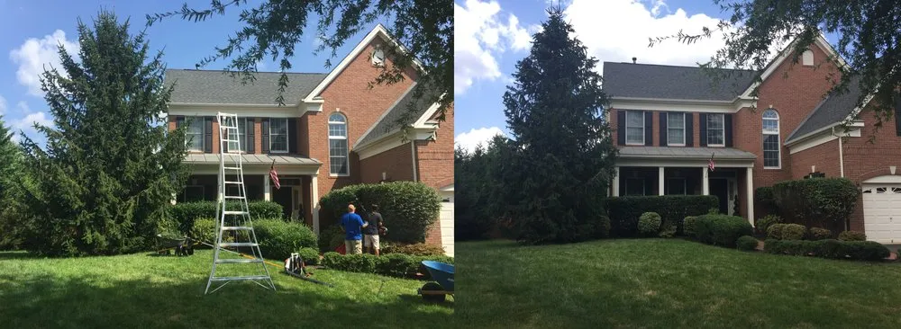 Expert yard maintenance in Manassas Park, VA by Blue Rock Landscaping
