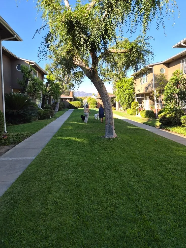 Local garden landscaping in San Fernando, CA - Blue Rock Property Services