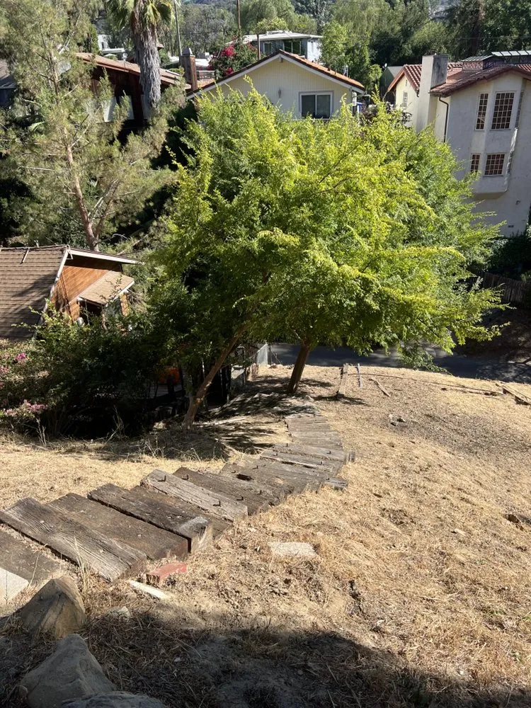 Professional landscaping services in San Fernando, CA by Blue Rock Property Services