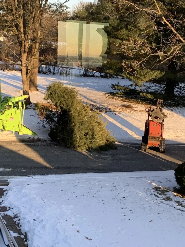 Local yard cleanup service in Wilmington, DE by Blue Rock Tree Care