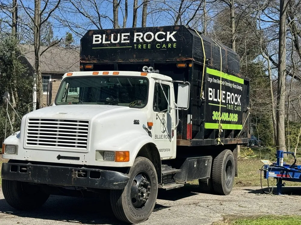 Reliable landscape installation with custom design in Wilmington, DE by Blue Rock Tree Care