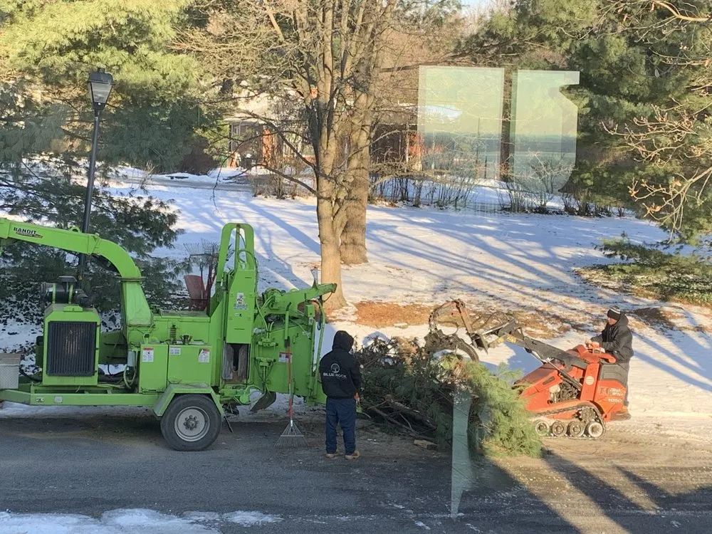 Local lawn care service in Wilmington, DE by Blue Rock Tree Care