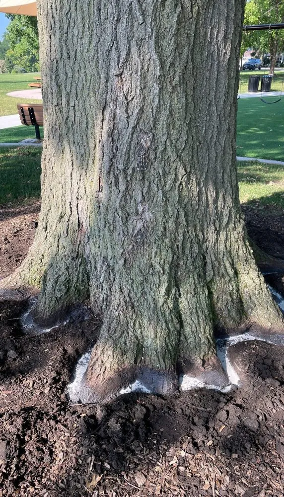 Custom lawn mowing service experts serving Palos Hills, IL - Blue Sage Grounds