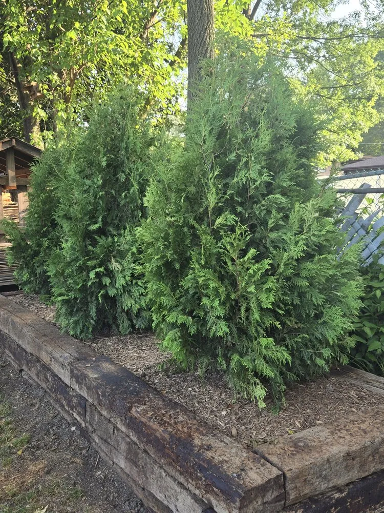 Professional yard cleanup service for residential properties across Palos Hills, IL - Blue Sage Grounds