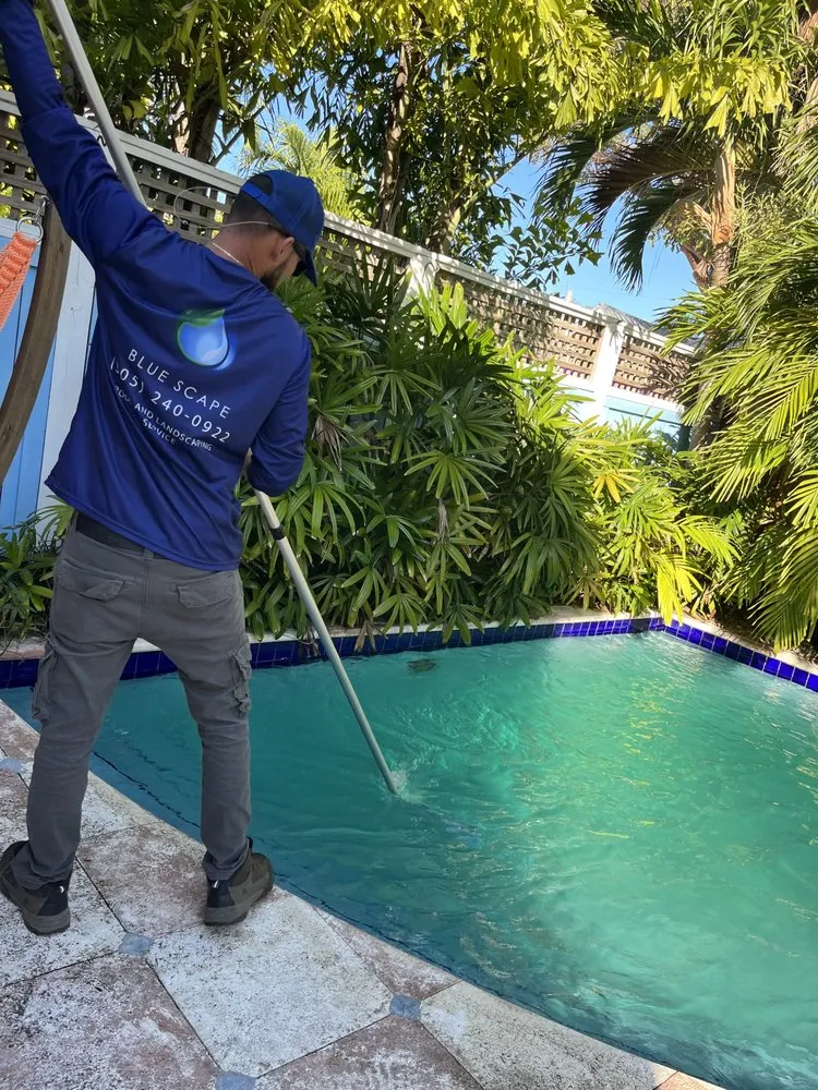Reliable outdoor landscaping experts serving Key West, FL - Blue scape