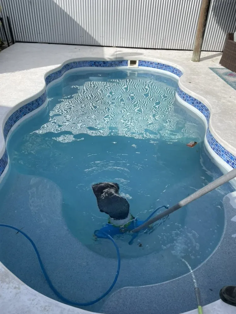 Trusted landscape design for outdoor upgrades across Key West, FL - Blue scape