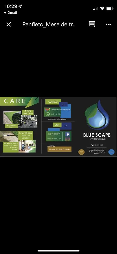 Local yard cleanup service in Key West, FL by Blue scape