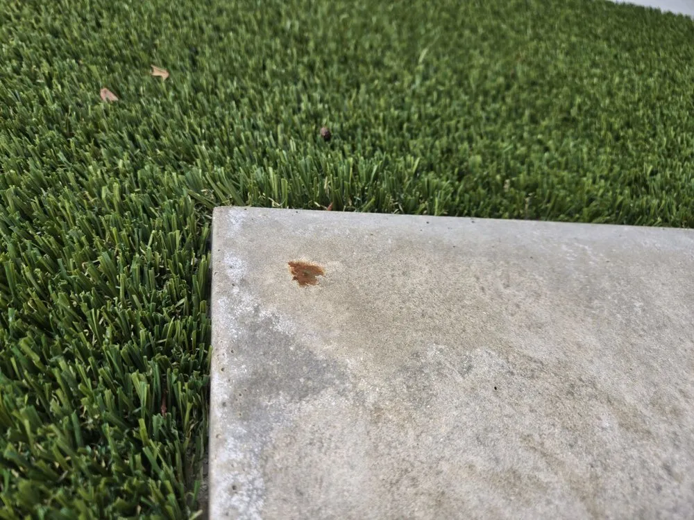 Trusted yard cleanup service for beautiful yards in Key West, FL by Blue scape