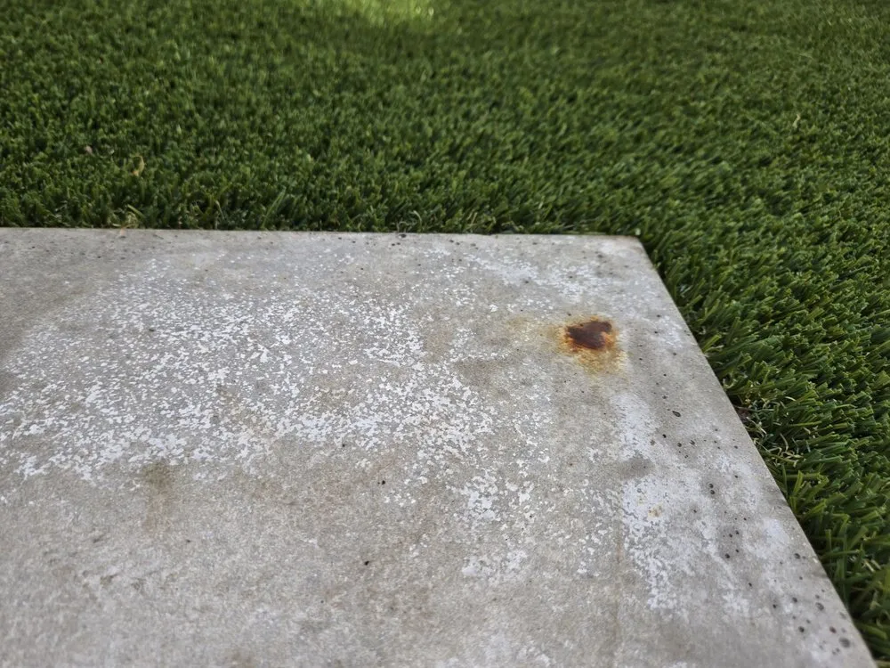 Local lawn care service in Key West, FL by Blue scape