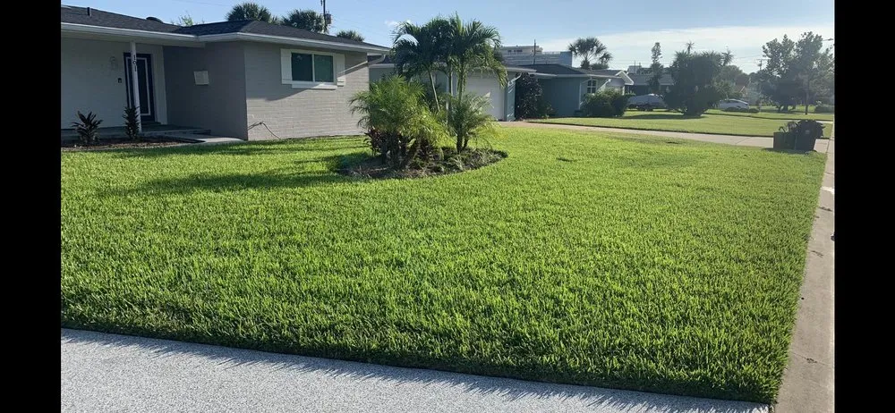 Local outdoor landscaping in Daytona Beach, FL - Blue Skies Fine Cuts