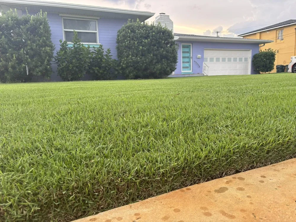 Trusted landscaping services in Daytona Beach, FL - Blue Skies Fine Cuts
