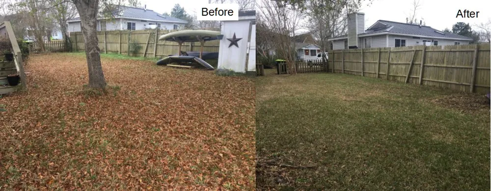 Affordable yard cleanup service in Ashburn, VA by Blue Skies Landscaping