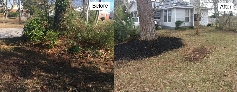 Local landscape design for beautiful yards across Ashburn, VA - Blue Skies Landscaping