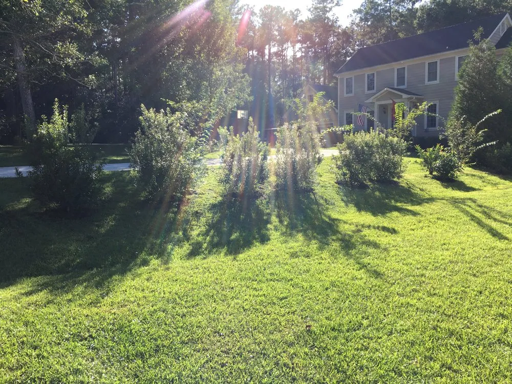 Expert landscape design experts serving Ashburn, VA - Blue Skies Landscaping