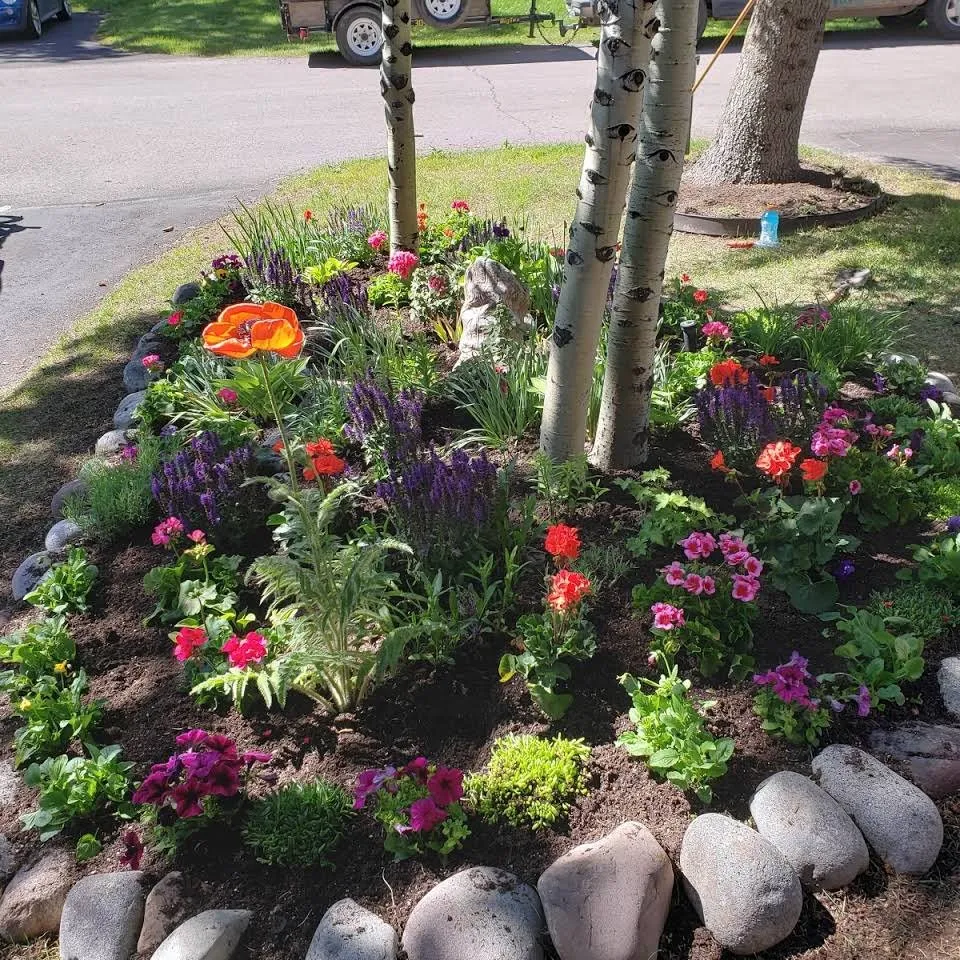 Affordable residential landscaping near you in Basalt, CO by Blue Sky Garden & Lawn