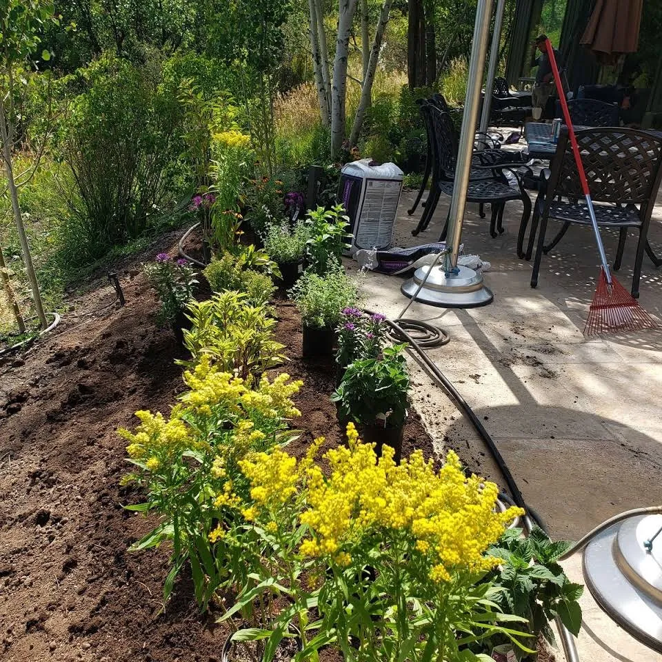 Local landscape installation in Basalt, CO - Blue Sky Garden & Lawn