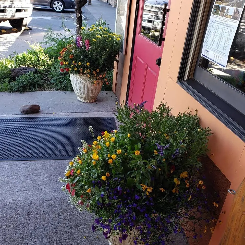 Professional lawn care service for outdoor upgrades in Basalt, CO by Blue Sky Garden & Lawn