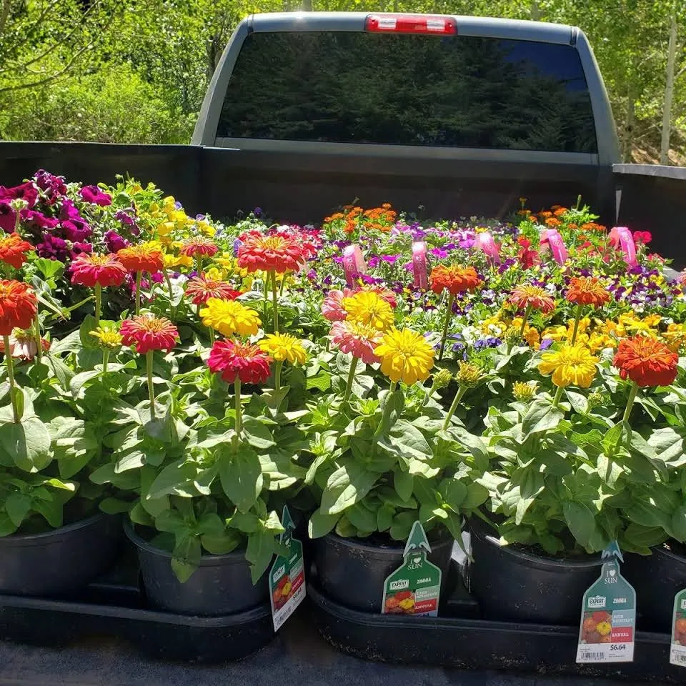 Professional landscape installation for residential properties across Basalt, CO - Blue Sky Garden & Lawn