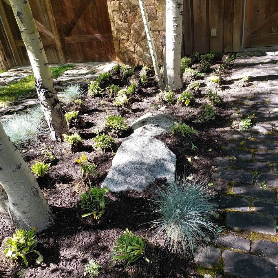 Expert outdoor landscaping in Basalt, CO - Blue Sky Garden & Lawn