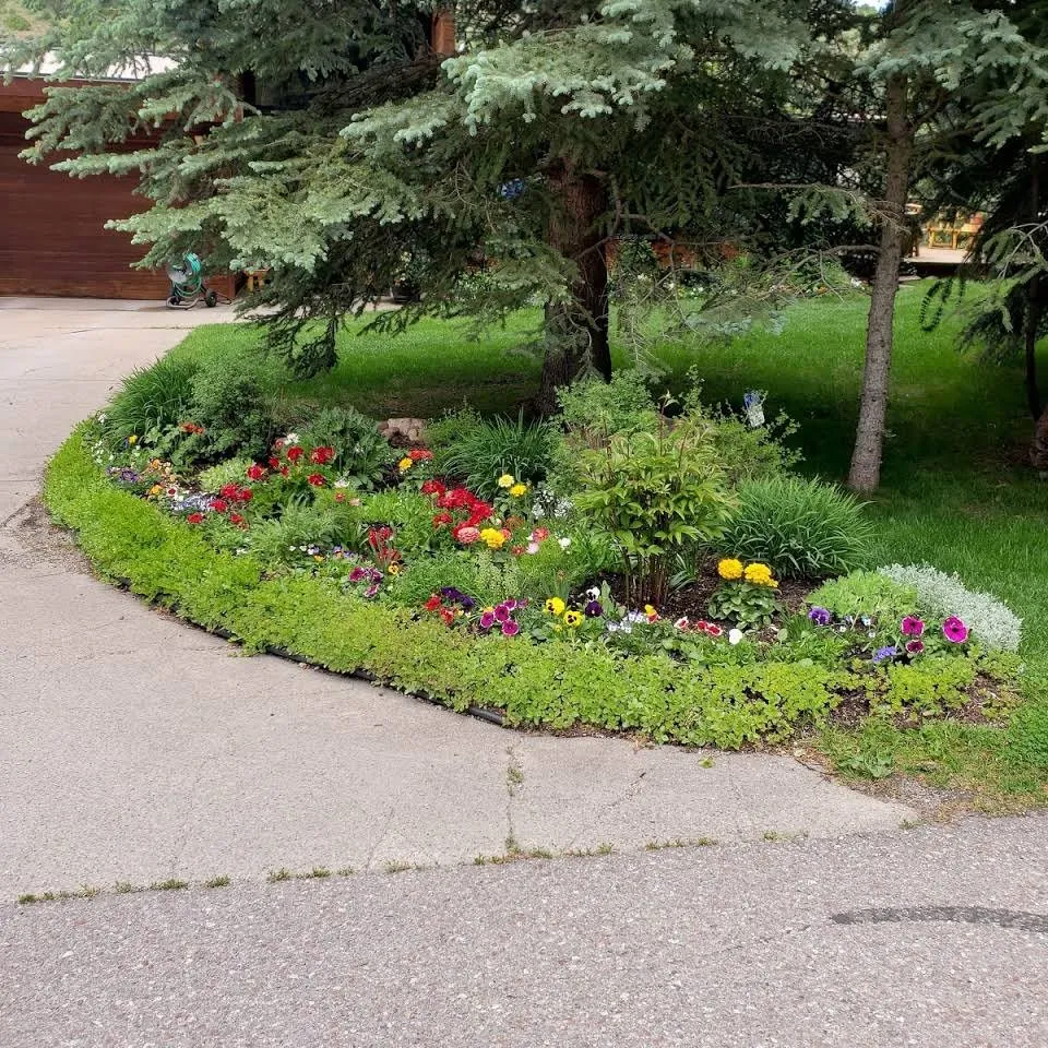 Expert outdoor landscaping in Basalt, CO - Blue Sky Garden & Lawn