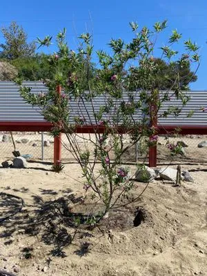 Blue Sky Landscape Logo