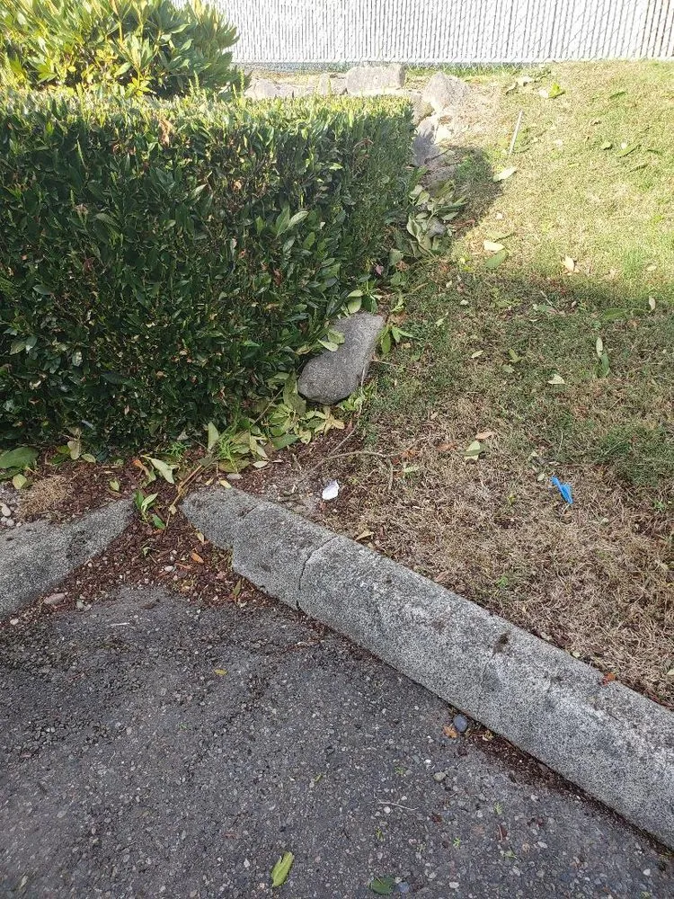 Expert yard maintenance for beautiful yards in Puyallup, WA by Blue Sky Landscape Services