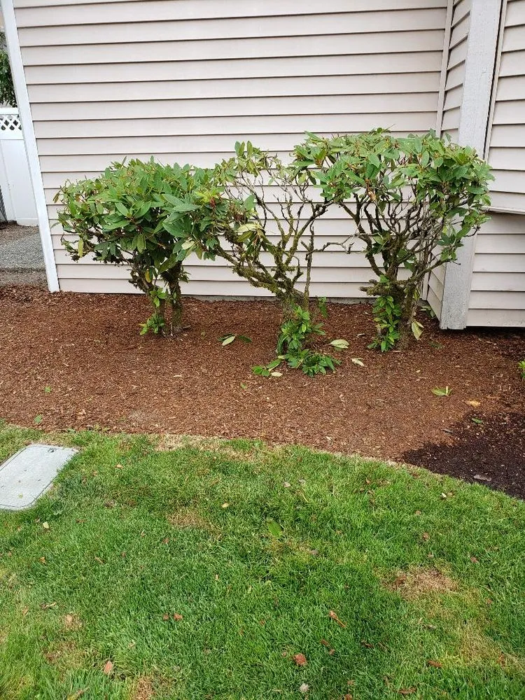 Expert garden landscaping for residential properties across Puyallup, WA - Blue Sky Landscape Services