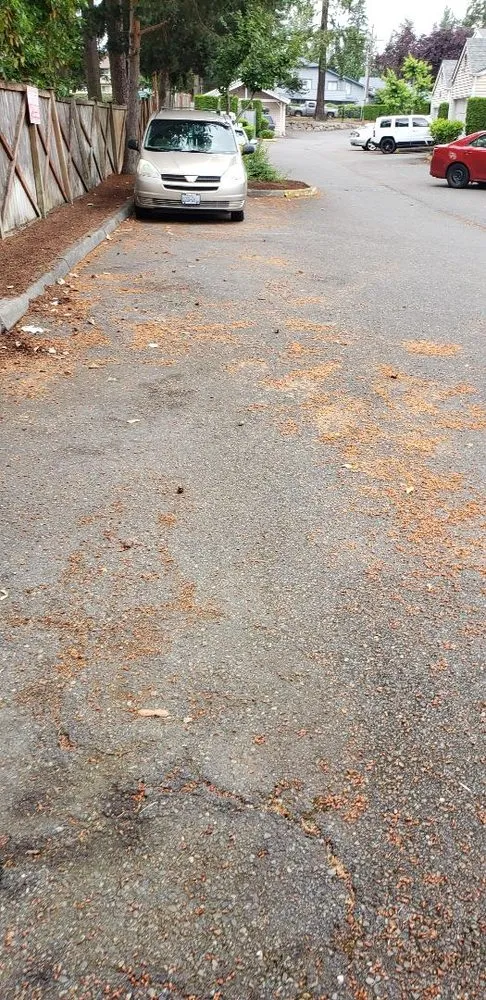 Top-rated landscape installation near you in Puyallup, WA by Blue Sky Landscape Services