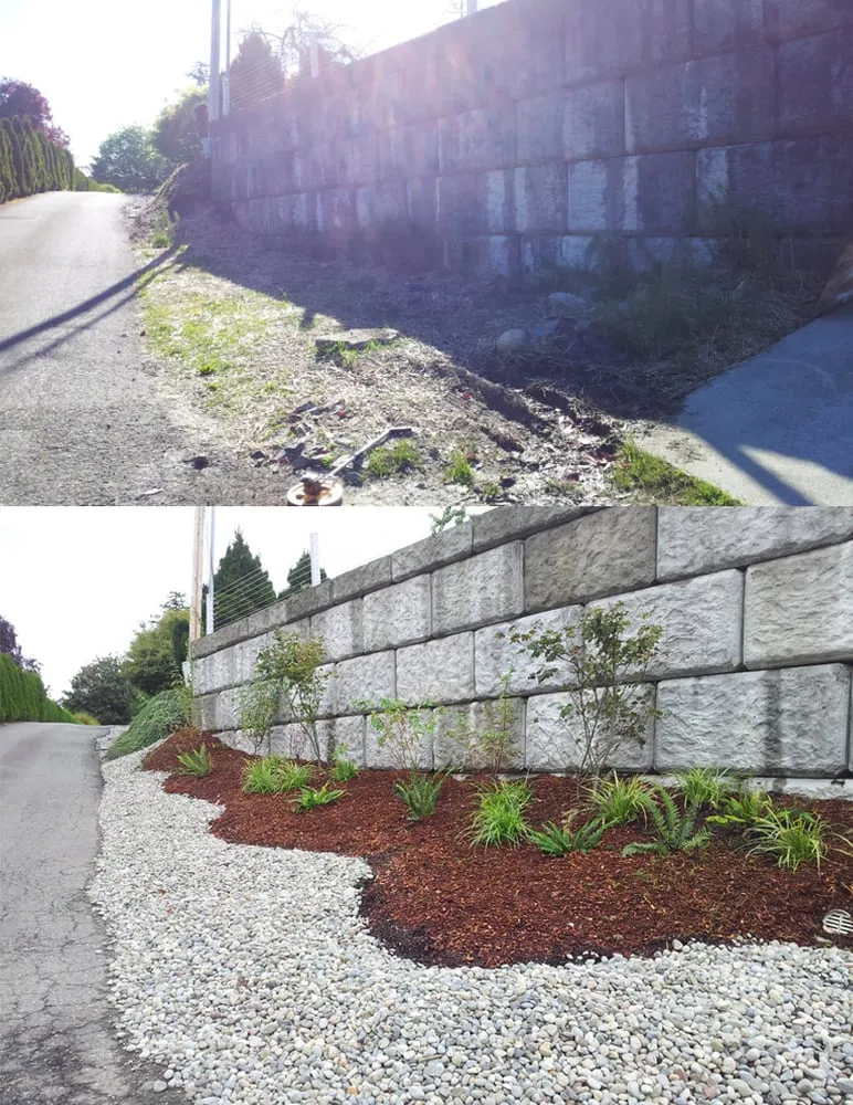 Custom yard cleanup service in Puyallup, WA - Blue Sky Landscape Services