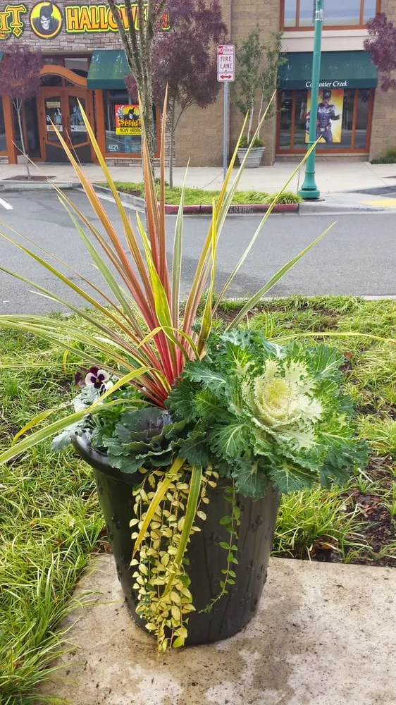 Local garden landscaping in Puyallup, WA by Blue Sky Landscape Services