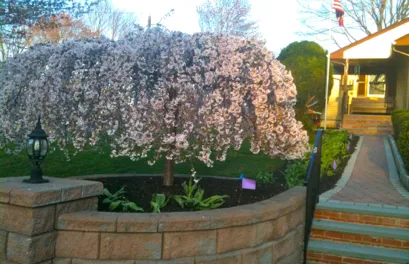 Local outdoor landscaping near you across Valley Cottage, NY - Blue Sky Landscape