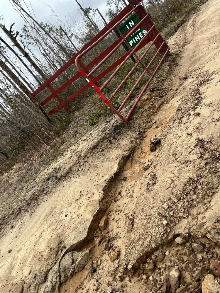 Expert lawn mowing service near you across Tallahassee, FL - Blue Sky Landscaping and Design