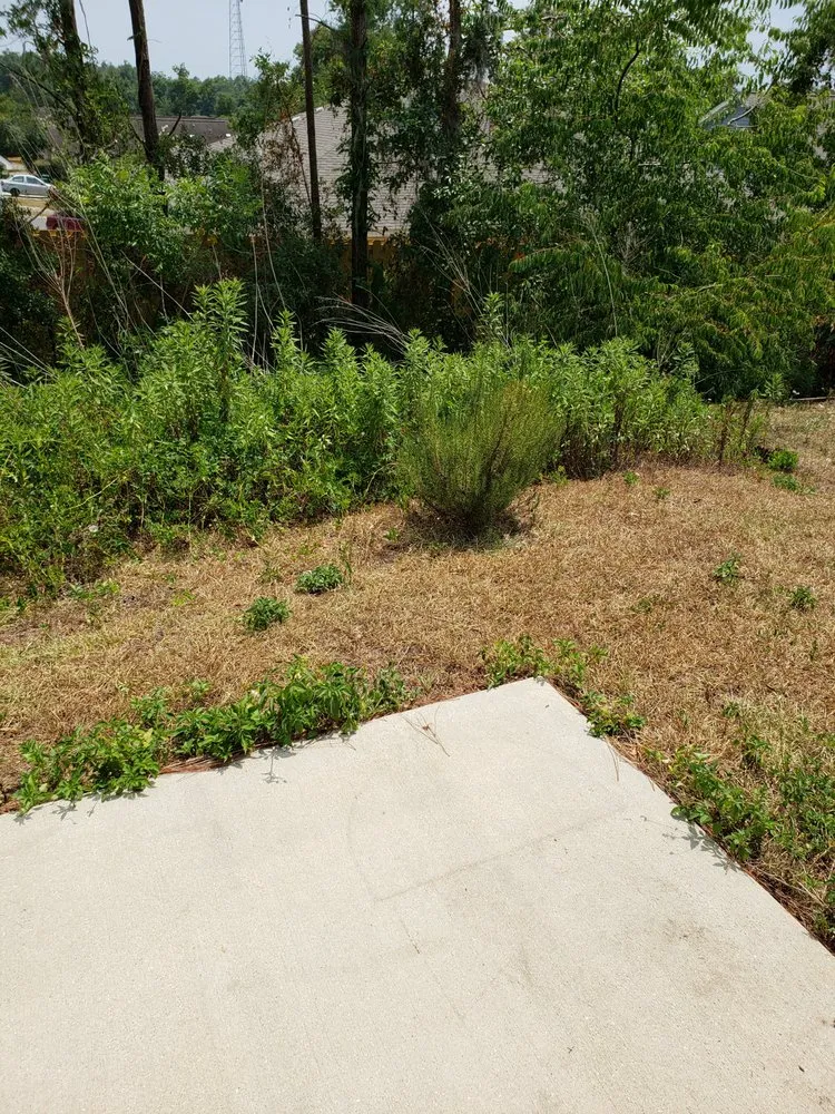 Custom landscape design in Tallahassee, FL - Blue Sky Landscaping and Design