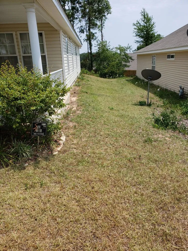 Reliable yard cleanup service in Tallahassee, FL by Blue Sky Landscaping and Design