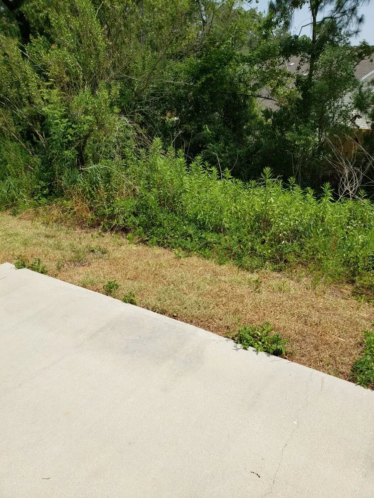 Top-rated landscape design for outdoor upgrades in Tallahassee, FL by Blue Sky Landscaping and Design